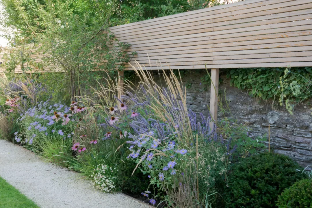 planting-border-larch-screen