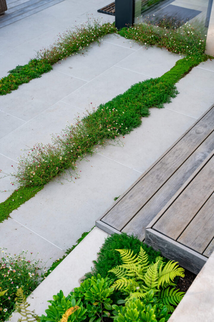 Modern_contemporary-terraced-garden-design-bristol (5)