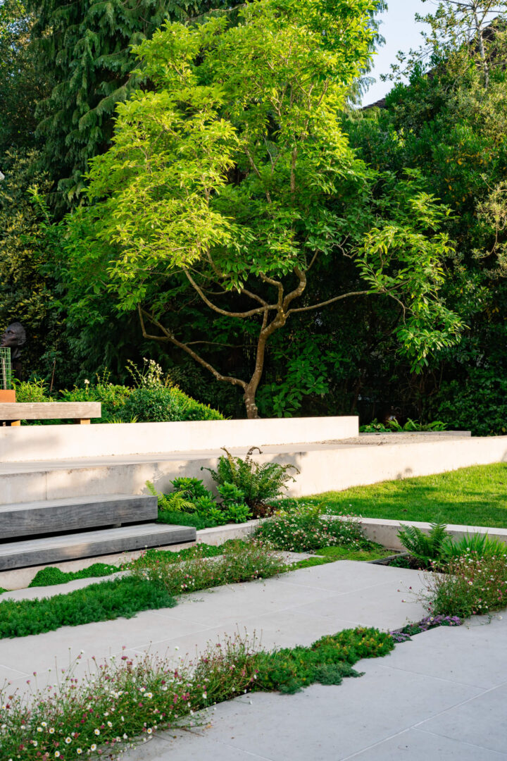 Modern_contemporary-terraced-garden-design-bristol (6)
