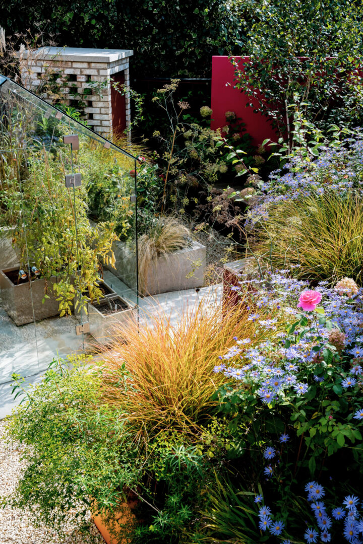 colourful-modern-urban-garden-design-artisan (1)