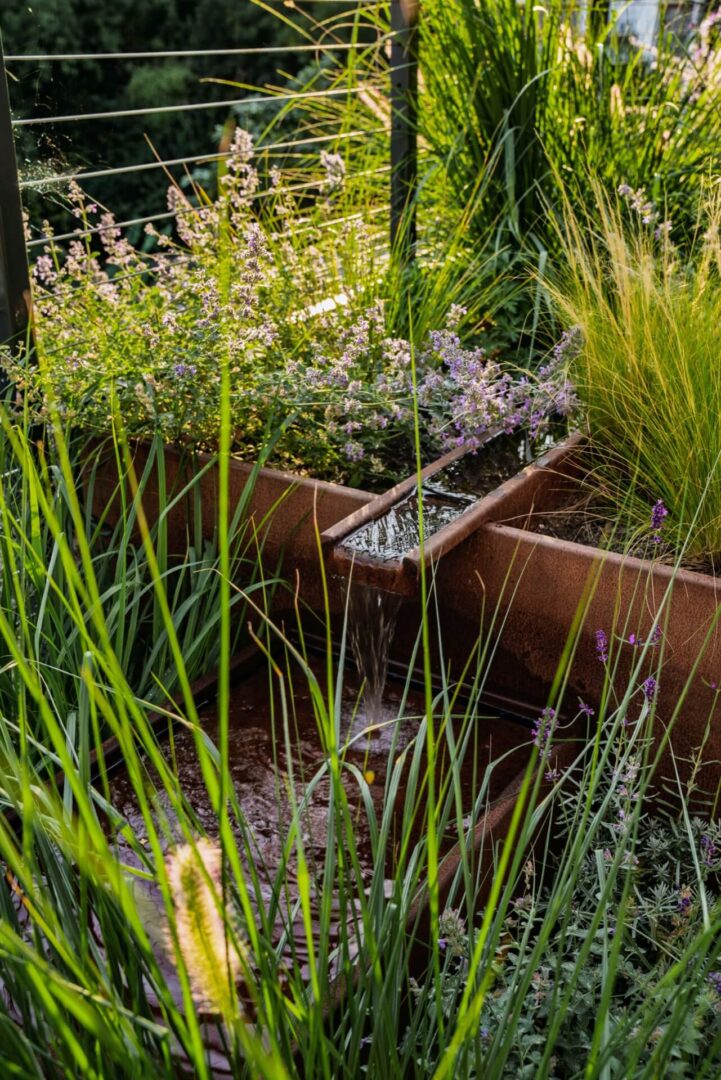 Shallow steel water feature with grasses