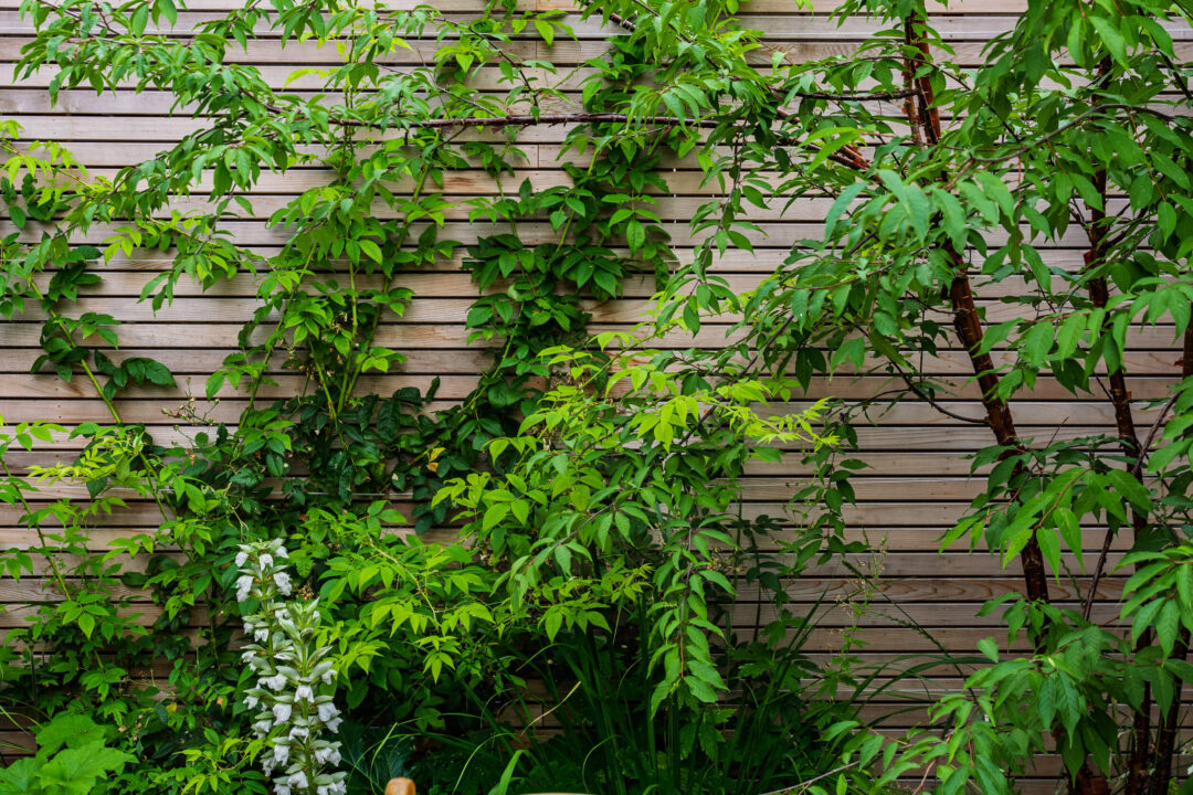 redland_courtyard_garden-9